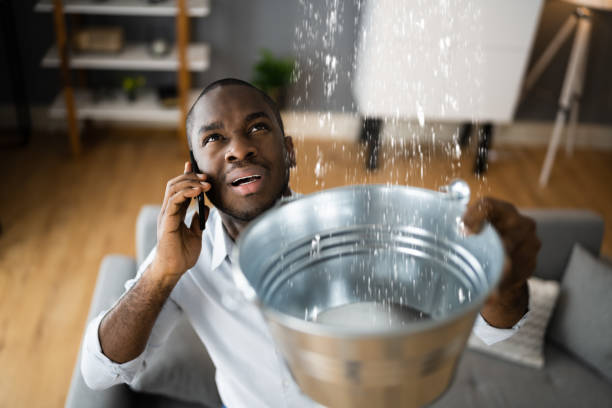 Best 24-hour water damage restoration  in Nanticoke, PA