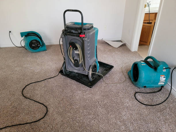 Best Commercial water damage restoration  in Nanticoke, PA