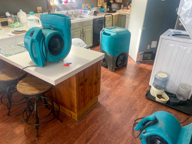 Best Emergency water damage restoration  in Nanticoke, PA