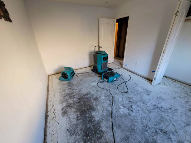 Best Water damage cleanup near me  in Nanticoke, PA