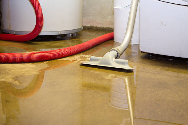 Best Mold removal after water damage  in Nanticoke, PA